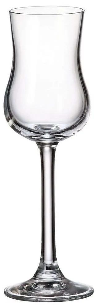Ποτήρι Λικέρ-Ούζου Κολωνάτο Colibri CTB03202008 85ml Κρυστάλλινο Clear Βοημίας Κρύσταλλο