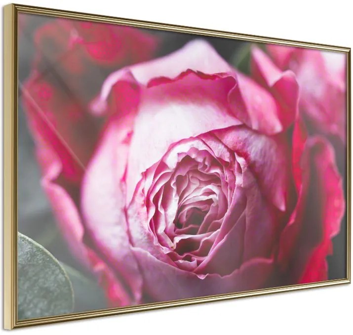 Αφίσα - Blooming Rose - 30x20 - Χρυσό - Χωρίς πασπαρτού