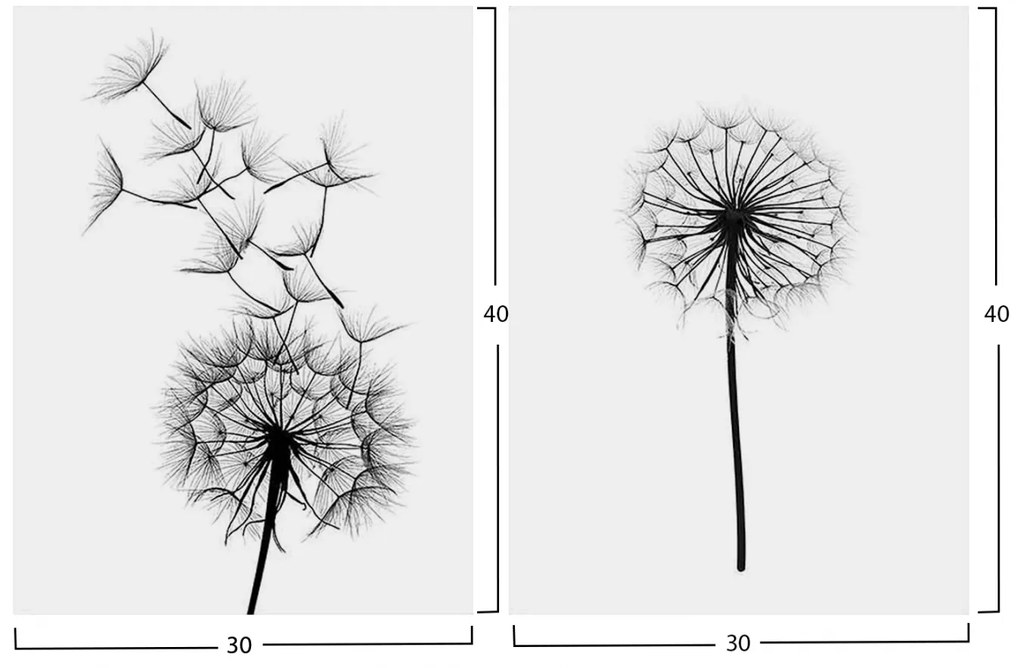 ΠΙΝΑΚΑΣ ΔΙΠΤΥΧΟ MDF ΠΙΚΡΑΛΙΔΑ HM7203.02 60x40x2,7 εκ.