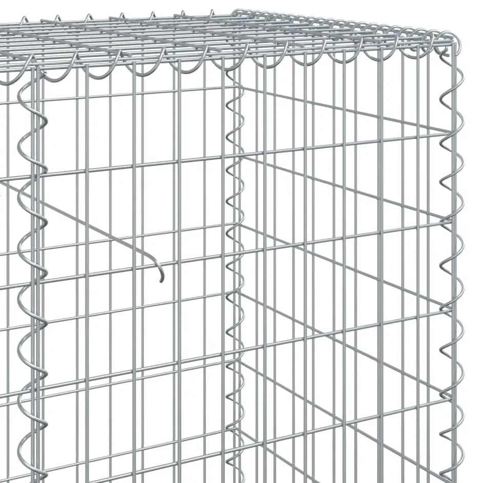 vidaXL Συρματοκιβώτιο με Κάλυμμα 1200x50x100εκ από Γαλβανισμένο Χάλυβα