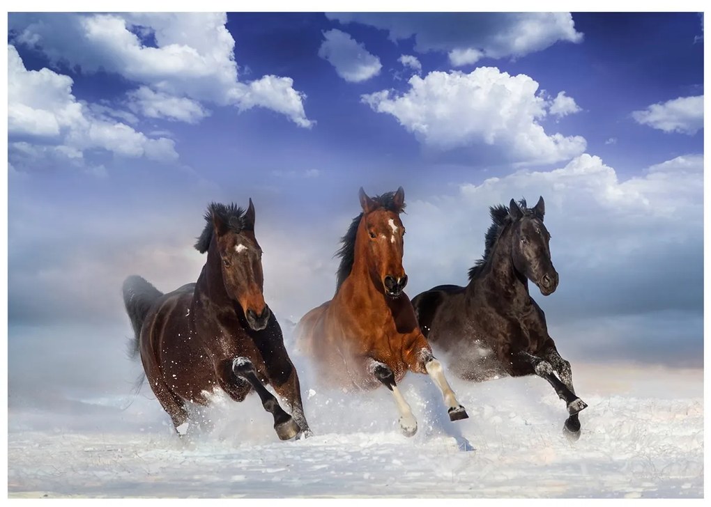 Φωτοταπετσαρία - Horses in the Snow 150x105