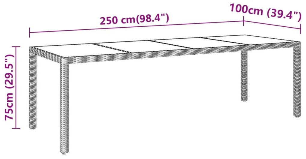 vidaXL Τραπέζι Κήπου Γκρι 250x100x75 εκ. Ψημένο Γυαλί/Συνθετικό Ρατάν