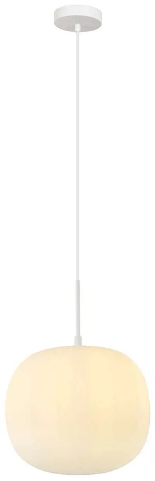 Φωτιστικό Οροφής 20125 1xE27 Max 40W Φ30cm Γυάλινο Οπάλ White Matt Metal, Glass