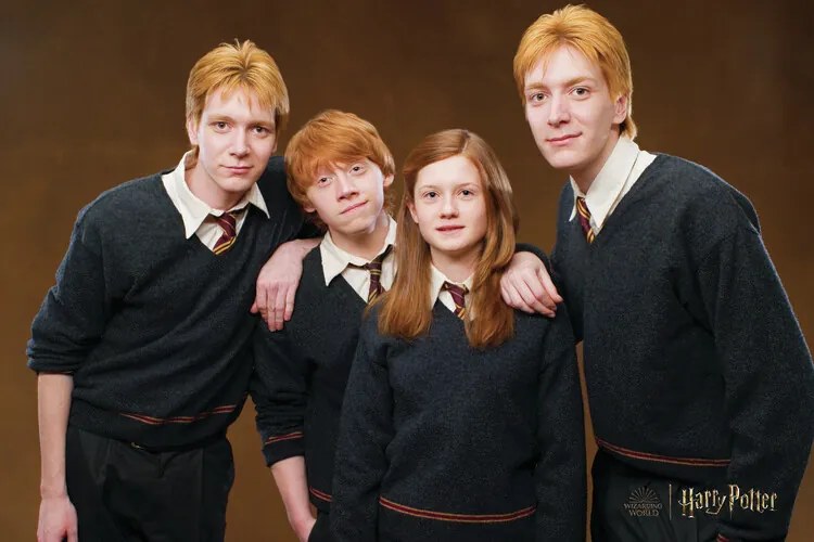 Εκτύπωση τέχνης Harry Potter - Weasley family, (40 x 26.7 cm)