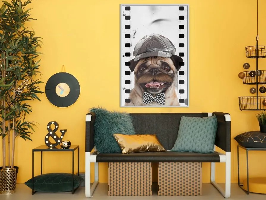 Αφίσα - Dressed Up Pug - 20x30 - Χρυσό - Χωρίς πασπαρτού