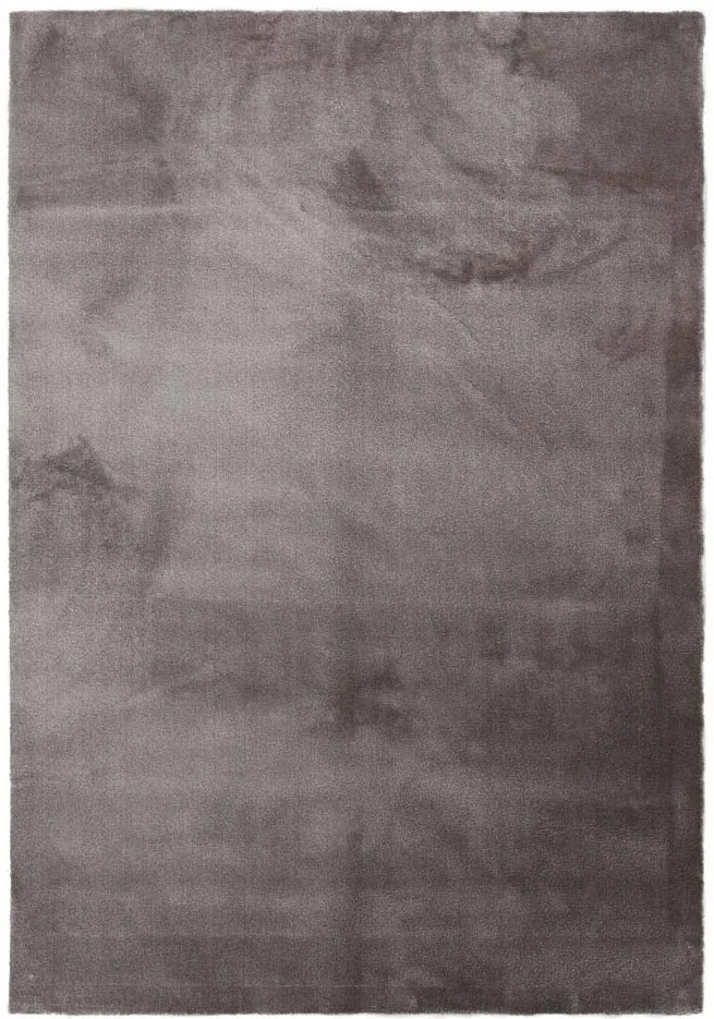 Χαλί Desire 71401 070 Royal Carpet - 160 x 230 cm