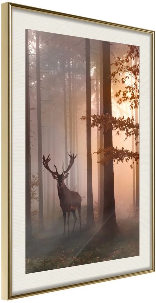 Αφίσα - Forest Seclusion - 20x30 - Χρυσό - Με πασπαρτού