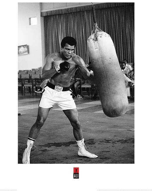 Εκτύπωση τέχνης Muhammad Ali - Punch Bag