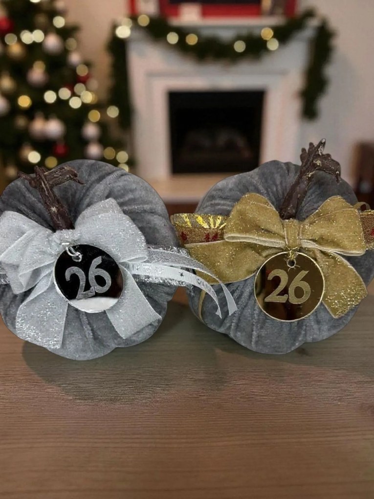 Κολοκύθα Γκρι βελούδινη μεγάλη - Ασημί