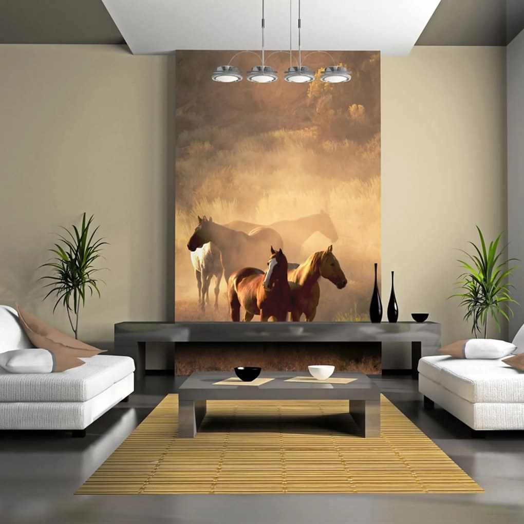 Φωτοταπετσαρία - Wild horses of the steppe 200x154