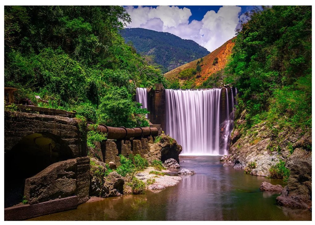 Φωτοταπετσαρία - Reggae Falls 300x210