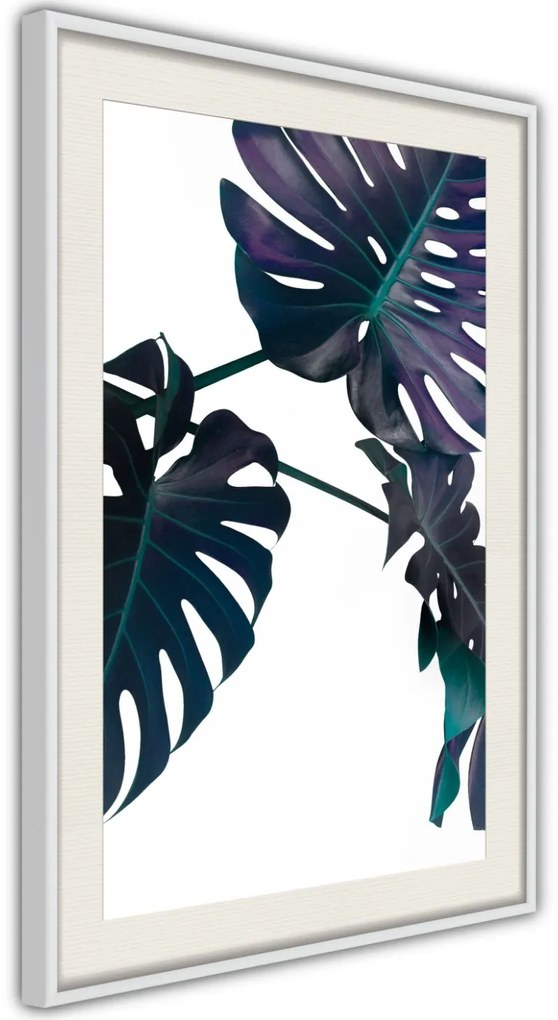 Αφίσα - Evergreen Monstera - 20x30 - Χρυσό - Με πασπαρτού