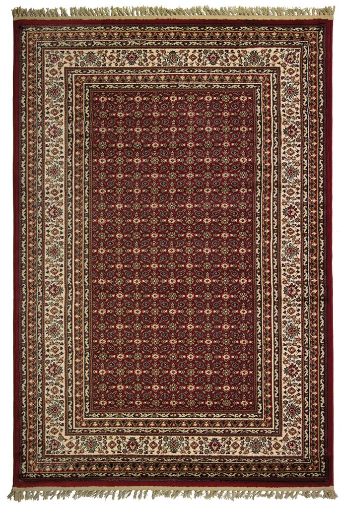 Χαλί (160x235) Βιοκαρπέτ Kirman 6803-1018 Red