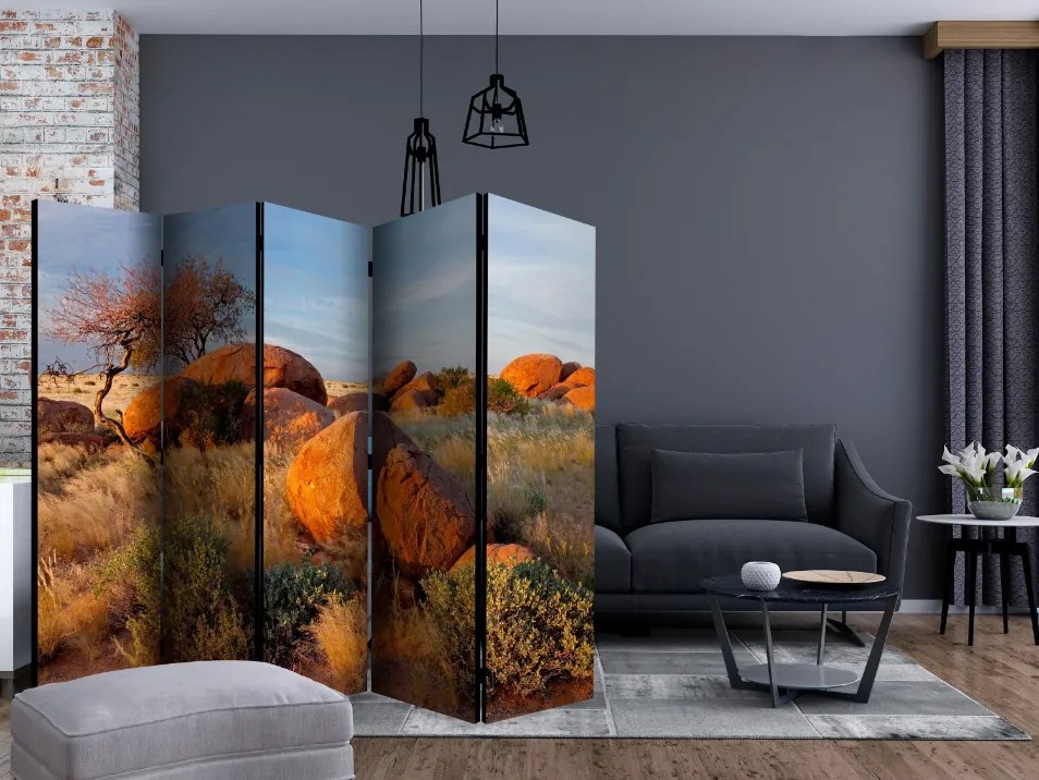 Διαχωριστικό με 5 τμήματα - African landscape, Namibia II [Room Dividers]