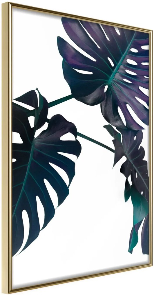 Αφίσα - Evergreen Monstera - 20x30 - Χρυσό - Χωρίς πασπαρτού