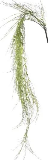 Τεχνητή Κρεμαστή Ρουσέλια Καφέ 110 εκ. 4451-7 Supergreens-4451-7-Καφέ 4451-7