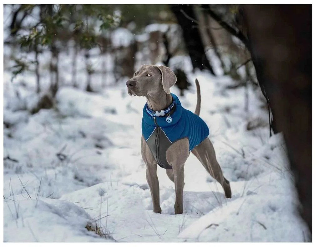 Παλτό Σκύλου Red Dingo Puffer Τυρκουάζ 35 cm