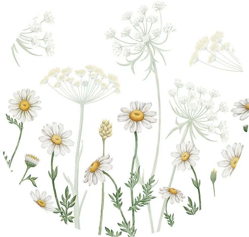 Fields of Daisies Ταπετσαρια Τοιχου Πρασινο Στρογγυλη 80cm