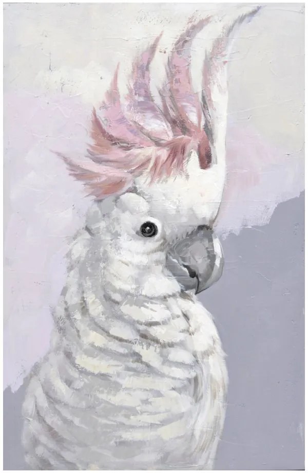 Πίνακας Cockatoo