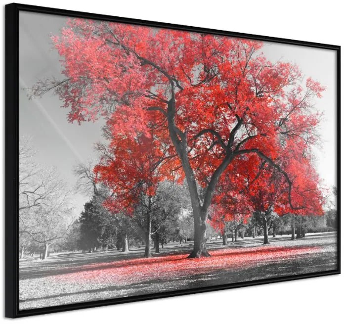 Αφίσα - Red Tree - 45x30 - Μαύρο - Χωρίς πασπαρτού