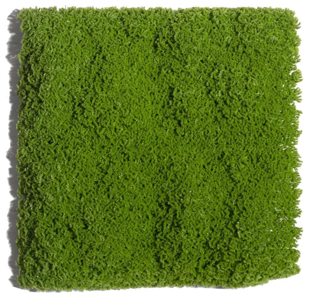 Supergreens Τεχνητή Φυλλωσιά Mossy 50Χ50 εκ. - 3231-7 - 3231-7