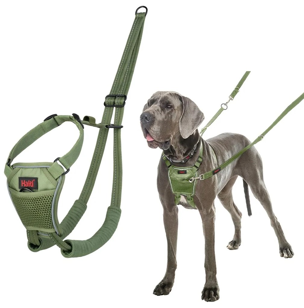 Λουρί Σκύλου Company of Animals FOREST Πράσινο L