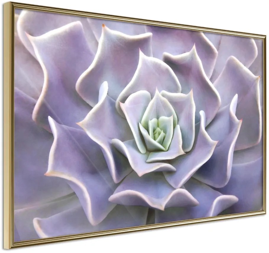 Αφίσα - Like a Flower - 60x40 - Χρυσό - Χωρίς πασπαρτού