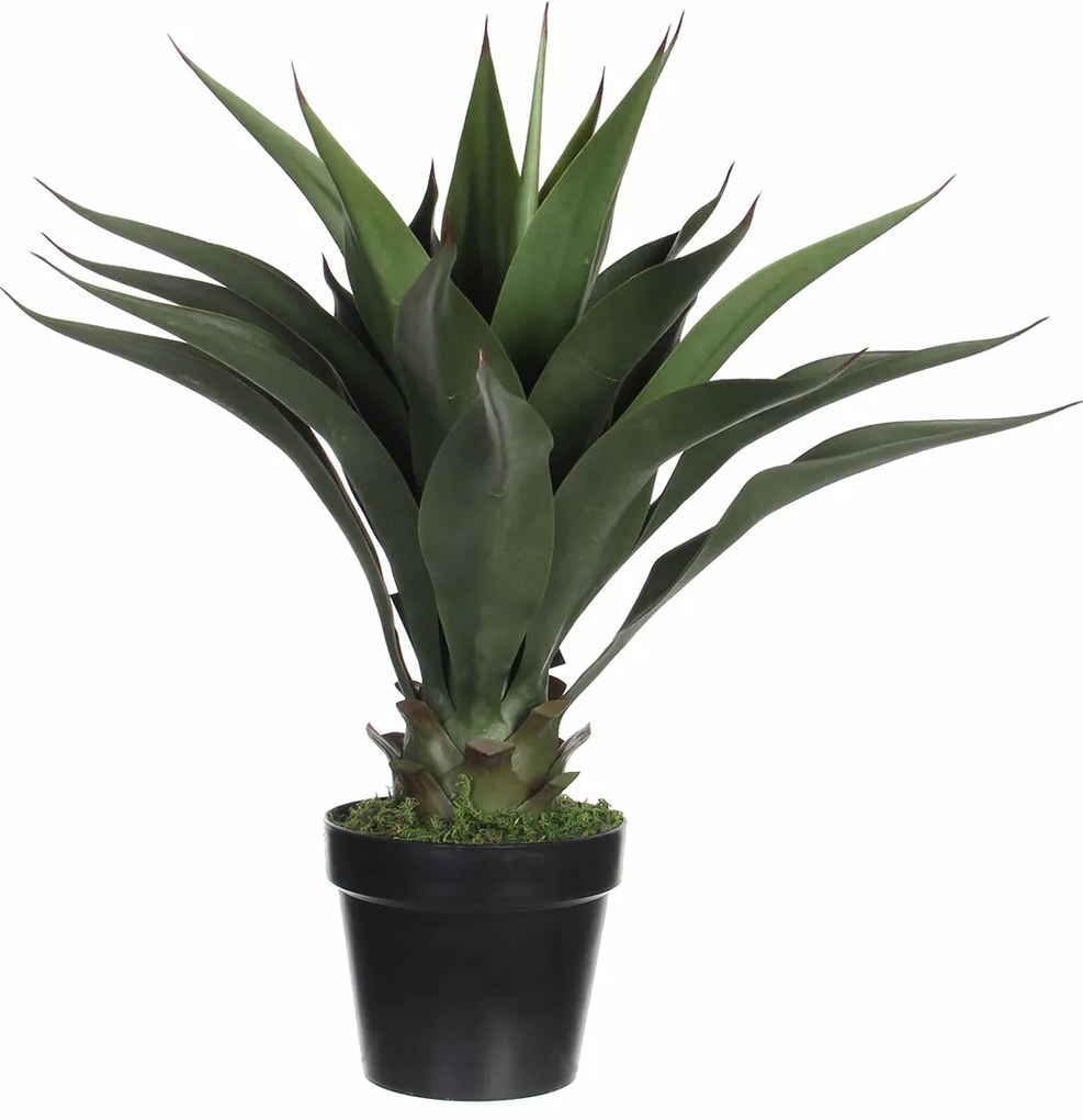 Τεχνητό Φυτό Σε Γλάστρα 60εκ. Edelman Agave 1026435