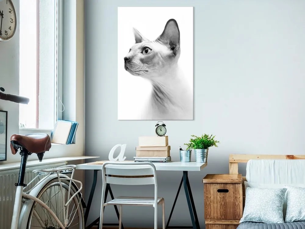 Πίνακας - Hairless Cat (1 Part) Vertical - 40x60