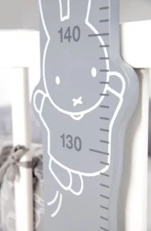 Χάρακας ανάπτυξης Miffy