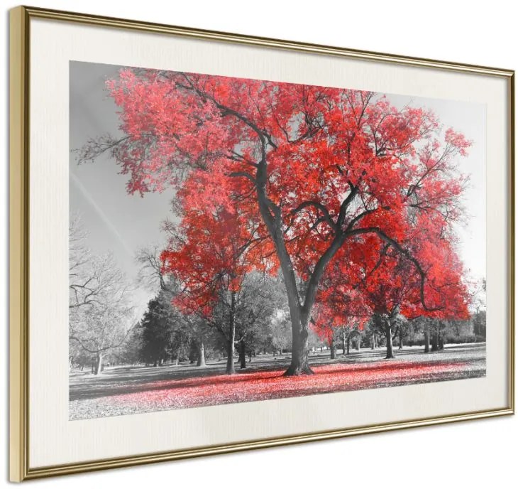 Αφίσα - Red Tree - 45x30 - Χρυσό - Με πασπαρτού