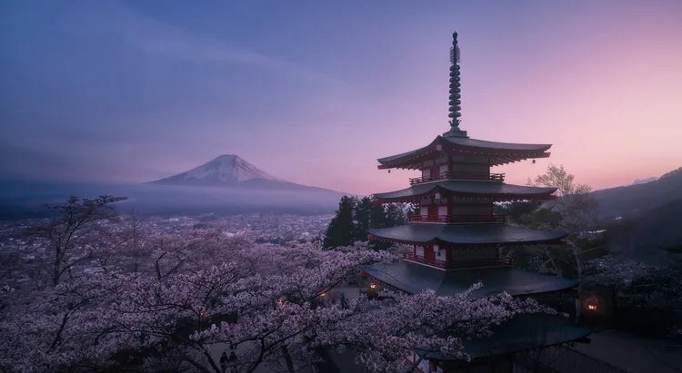 Φωτογραφία Mt Fuji Sakura, Javier de la