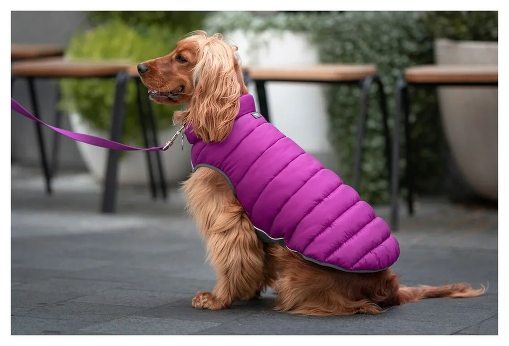 Παλτό Σκύλου Red Dingo Puffer 50 cm Ροζ/Μωβ