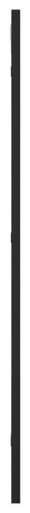 vidaXL Καθρέφτης Ορθογώνιος Μαύρος 40 x 80 εκ. από Σίδερο