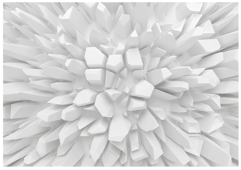 Φωτοταπετσαρία - White dahlia 200x154