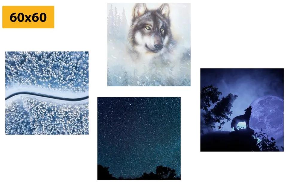 Σετ εικόνων με μοναχικό λύκος - 4x 60x60
