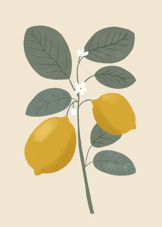 Εικονογράφηση Lemon flower, Katarzyna Gąsiorowska