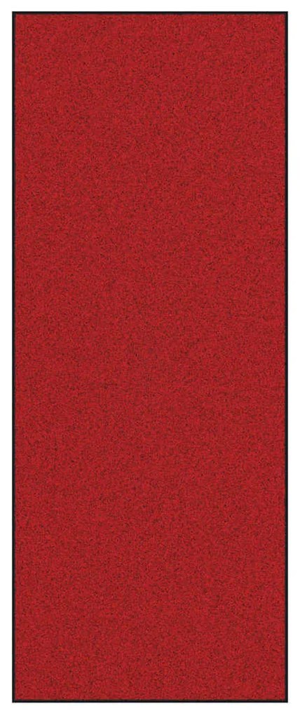 vidaXL Χαλάκι Εξώπορτας Κόκκινο και Μαύρο 120 x 300 cm