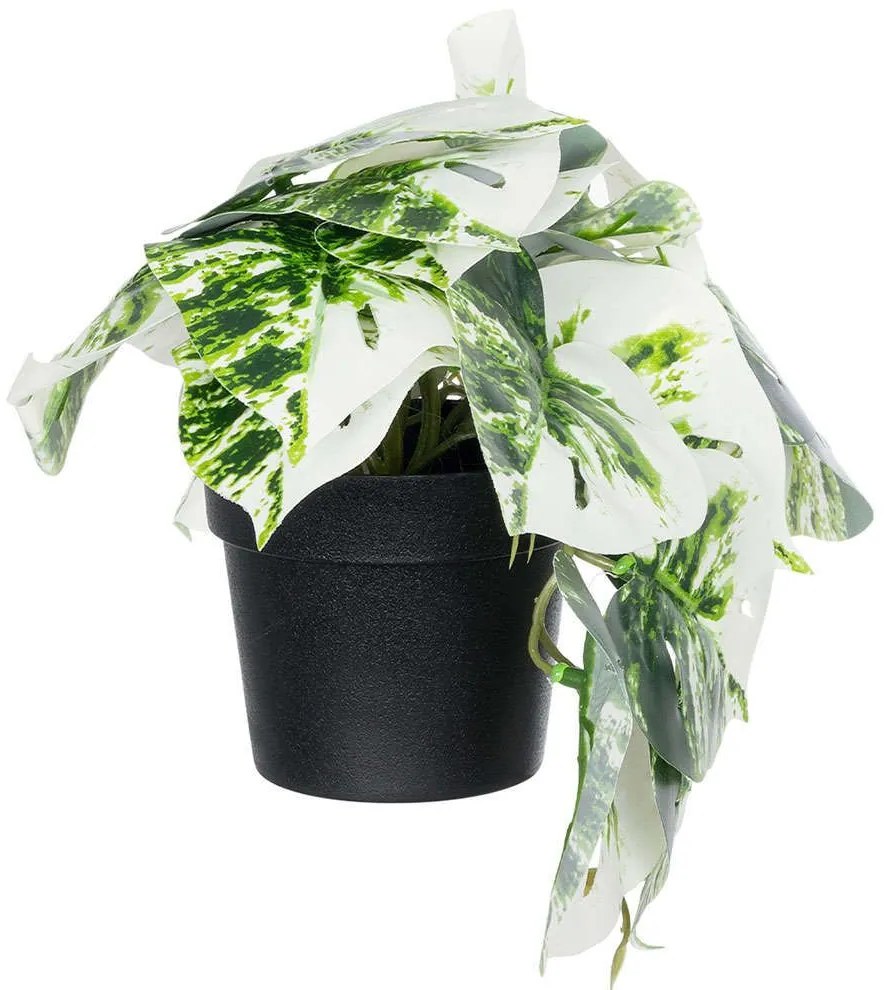 Τεχνητό Φυτό Albino Monstera 20946 Φ23x16cm Green-White GloboStar Πολυαιθυλένιο,Ύφασμα