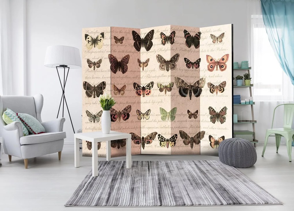 Διαχωριστικό με 5 τμήματα - Retro Style: Butterflies II [Room Dividers] 225x172