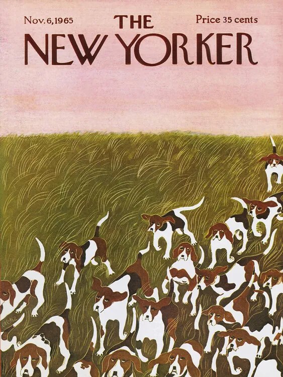 Εικονογράφηση The NY Magazine Cover 556