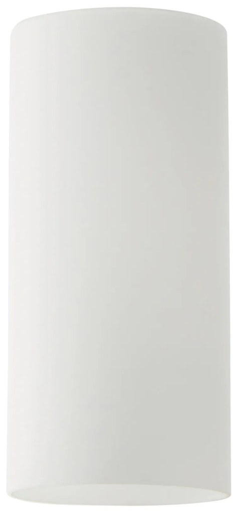 SE21-AC-W12 ADEPT WHITE GLASS B1