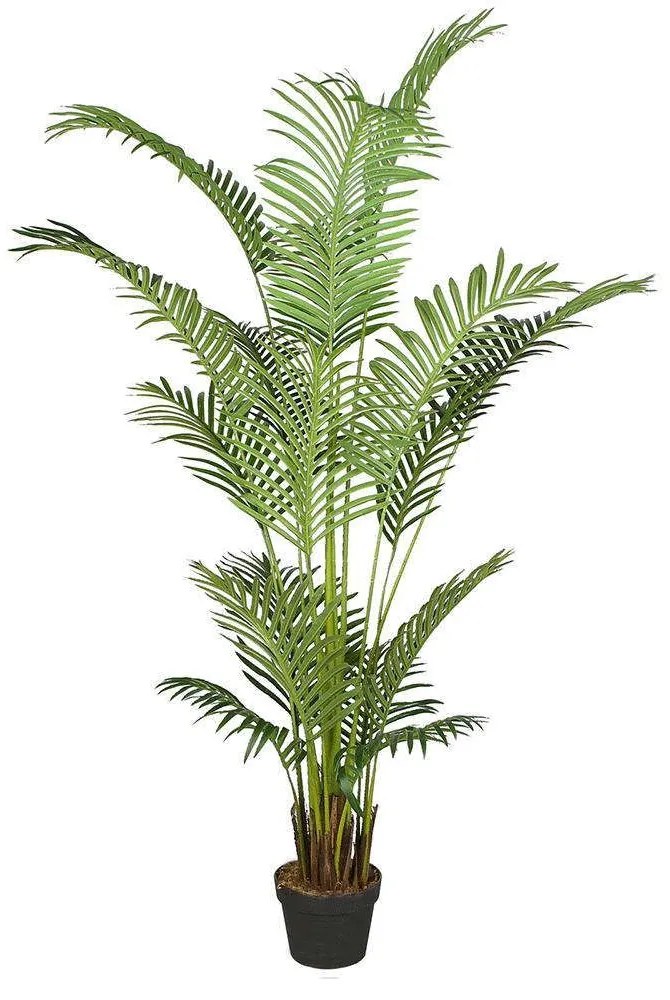 Τεχνητό Δέντρο Αρέκα 9130-6 90x90x170cm Green Supergreens Polyethylene