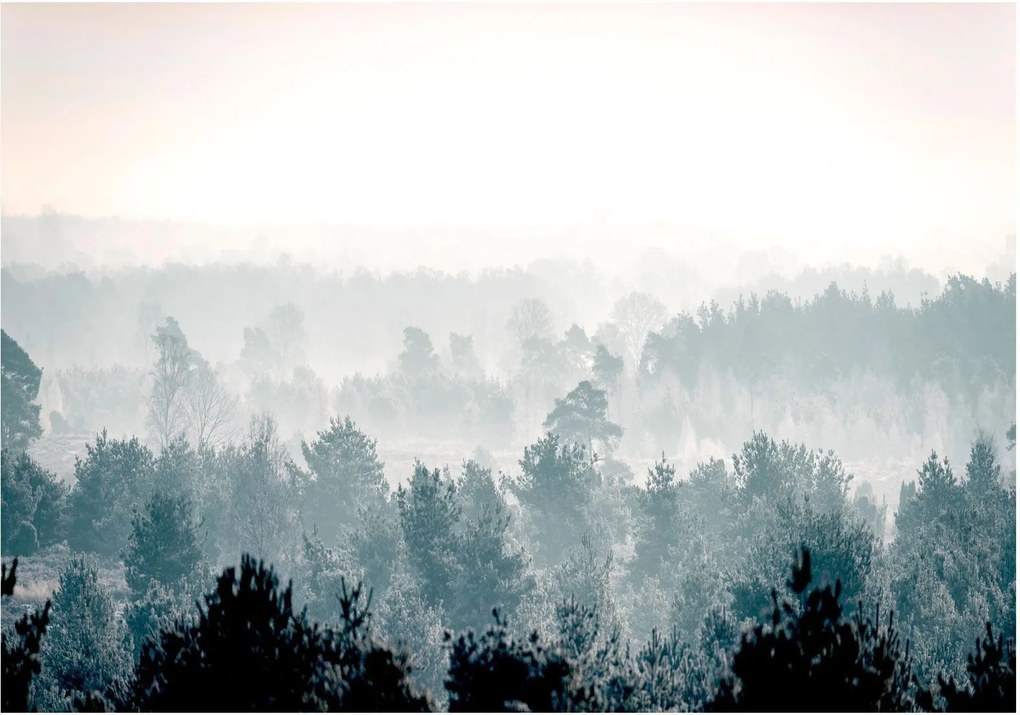 Αυτοκόλλητη φωτοταπετσαρία - Winter Forest - 245x175