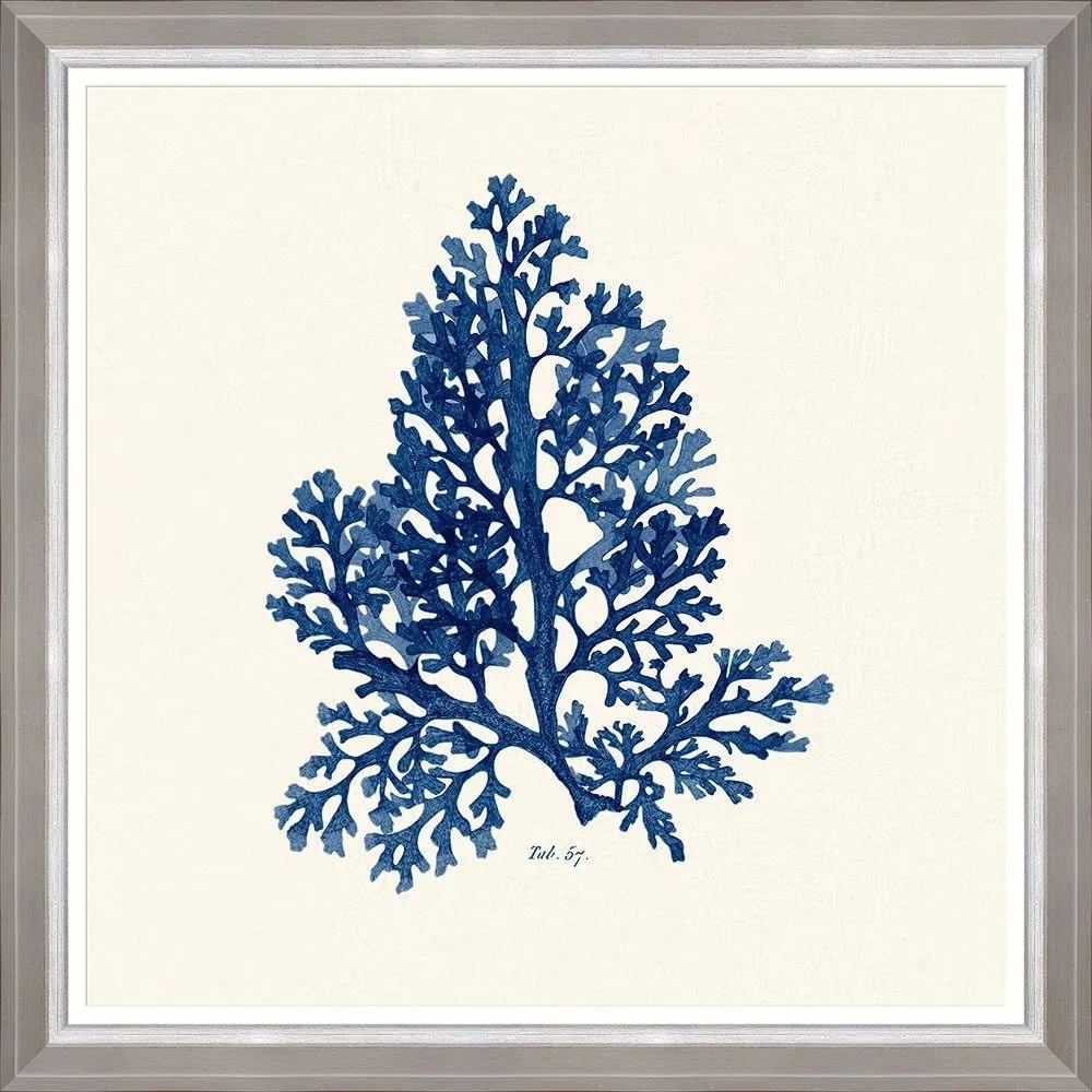 Κάδρο Seaweed  Ii Fa13393 70X70Cm White-Blue Mindthegap Τετράγωνοι Ξύλο