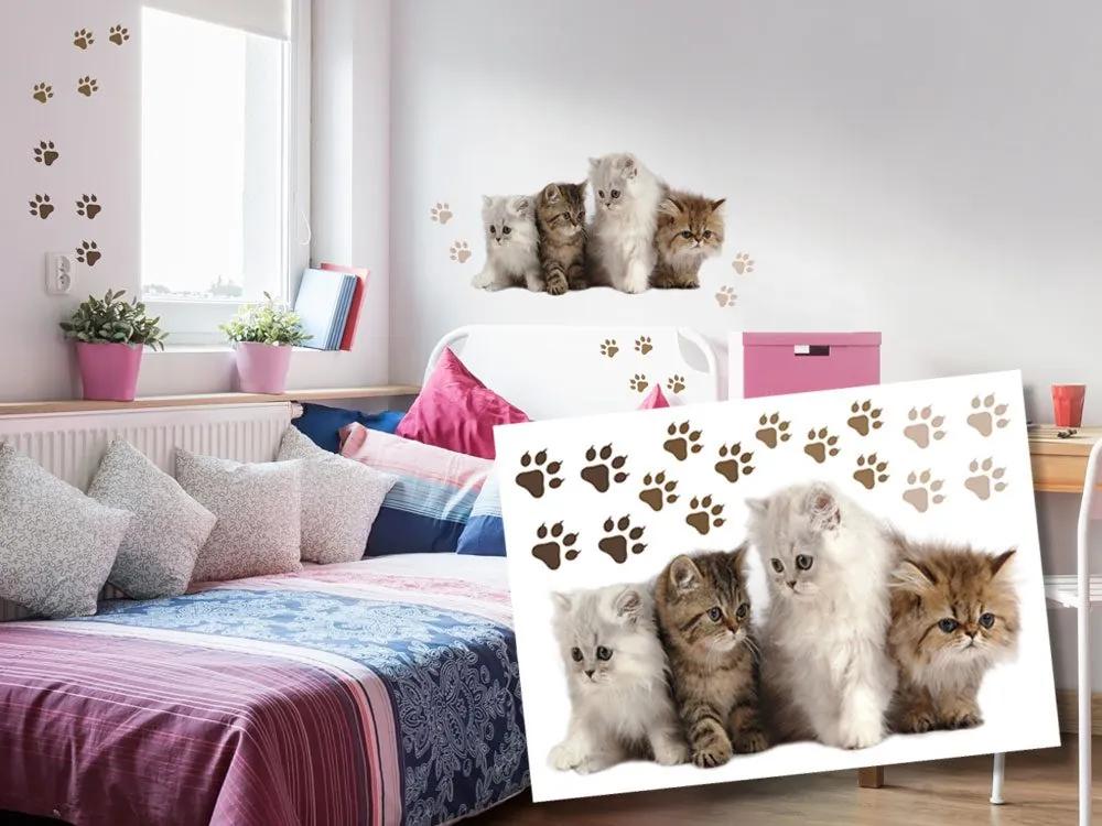 Διακοσμητικά αυτοκόλλητα τοίχου γατάκια - 50x70