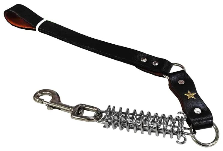 Λουρί Σκύλου Μαύρο – Dog Leash