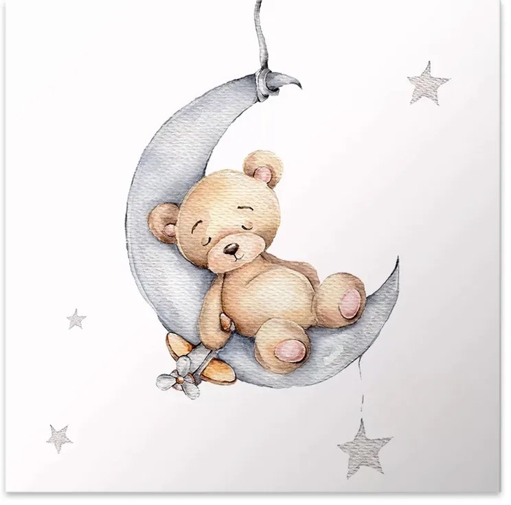 Πίνακας σε καμβά "Baby Bear" Megapap ψηφιακής εκτύπωσης 40x40x3εκ.