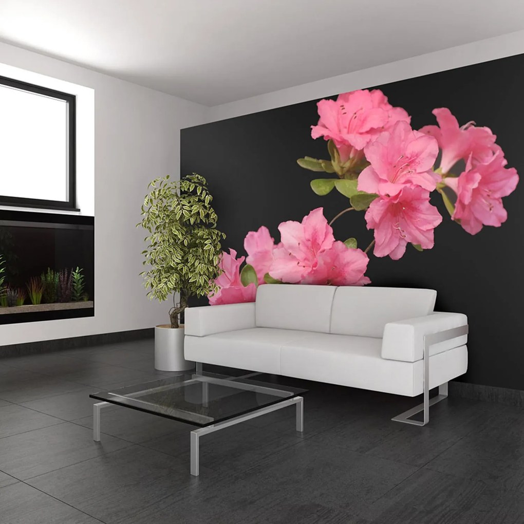 Φωτοταπετσαρία - Azalea in Black 350x270