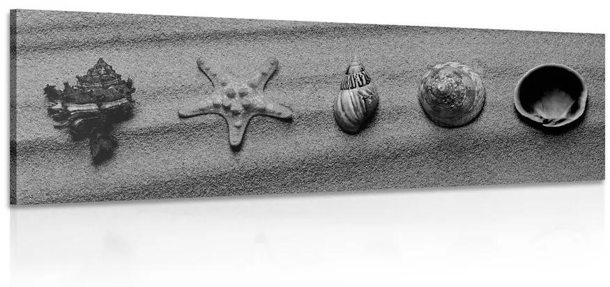 Εικόνα κοχυλιών σε αμμώδη παραλία σε μαύρο & άσπρο - 135x45